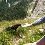 Il Direttore in Dolomiti!