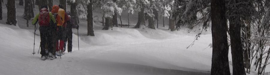 Neve e ciaspole: il paradiso