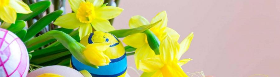 Buona Pasqua